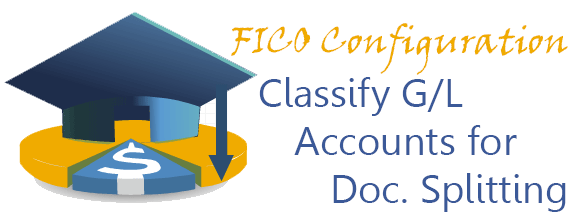 Classify G/L Accounts for Document Splitting
