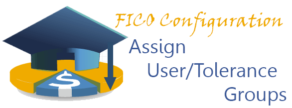 FICO - Assign User/Tolerance Groups