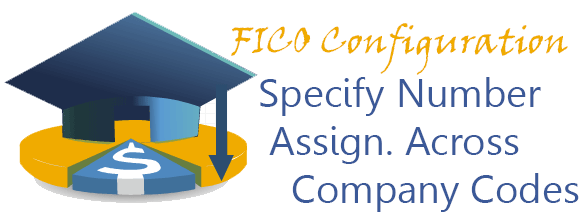 Specify Number Assignment Across Company Codes