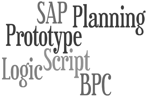 SAP BPC Planning Prototype with Logic Script