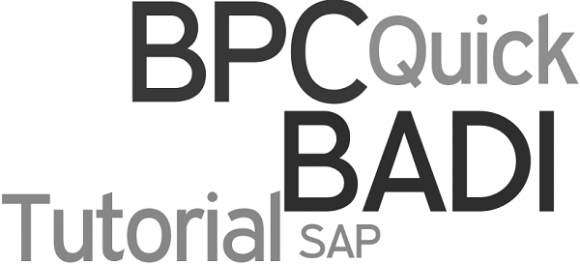 SAP BPC BADI - Quick Tutorial