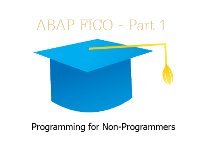 ABAP for Non-Technicals