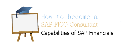 Functionalities of SAP Financials