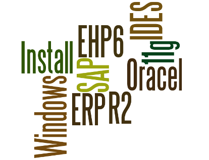 Install SAP IDES EHP6 on Windows 2008 R2 and Oracle