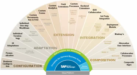 SAP Business ByDesign will succeed