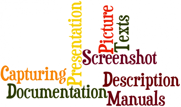 SAP Consultant Tool Greenshot