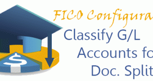 Classify G/L Accounts for Document Splitting