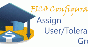 FICO - Assign User/Tolerance Groups