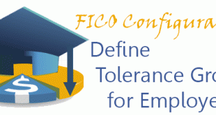 FICO - Define Tolerance Groups for Employees