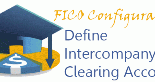Define Intercompany Clearing Accounts