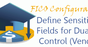 Define Sensitive Fields for Dual Control (Vendors)