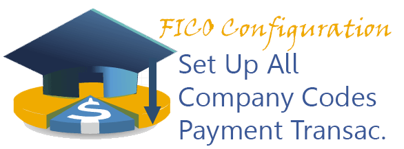 Set Up All Company Codes for Payment Transactions