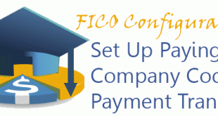 Set Up Paying Company Codes for Payment Transactions