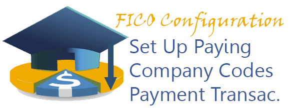 Set Up Paying Company Codes for Payment Transactions