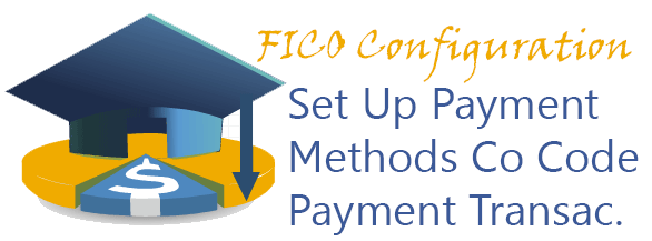 Set Up Payment Methods per Company Code for Payment Transactions