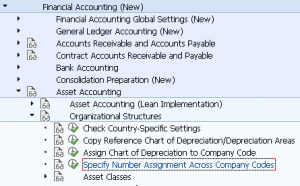 Specify Number Assignment Across Company Codes | AO11