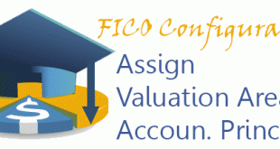 Assign Valuation Areas and Accounting Principles