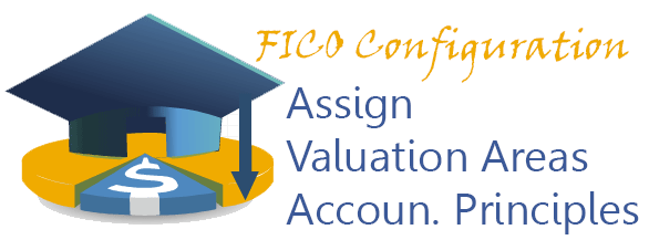 Assign Valuation Areas and Accounting Principles 