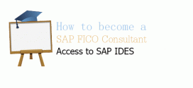 How to Become a SAP FICO Consultant Acess to IDES
