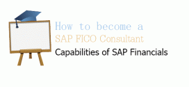 Functionalities of SAP Financials
