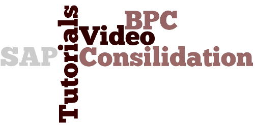 SAP BPC Consolidation Training Videos