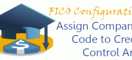 SAP FICO Configuration - Assign Company Code to Credit Control Area