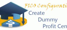 SAP FICO Configuration - Create Dummy Profit Center