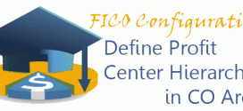 SAP FICO Configuration - Define Profit Group in CO Area